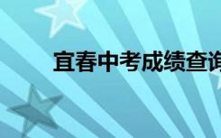 宜春中考成绩查询时间及入口2021