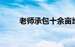 老师承包十余亩地带萌娃体验耕种