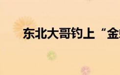 东北大哥钓上“金蟾抱鲤” 具体详情