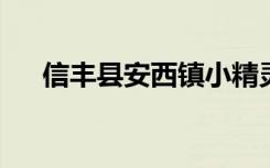 信丰县安西镇小精灵幼儿园的地址在哪