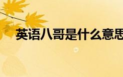英语八哥是什么意思（英语八哥注册机）