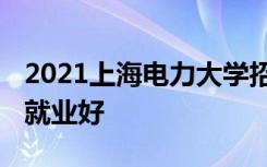 2021上海电力大学招生有哪些专业 什么专业就业好