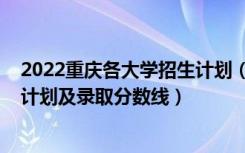 2022重庆各大学招生计划（2022年双一流大学在重庆招生计划及录取分数线）