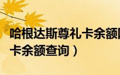 哈根达斯尊礼卡余额网上查询（哈根达斯尊礼卡余额查询）