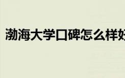 渤海大学口碑怎么样好就业吗 全国排名第几