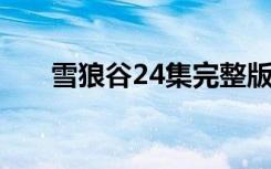 雪狼谷24集完整版电视剧（雪狼谷2）