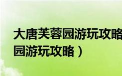 大唐芙蓉园游玩攻略2021一日游（大唐芙蓉园游玩攻略）