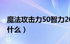 魔法攻击力50智力20的宝珠（30智力宝珠叫什么）