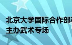 北京大学国际合作部和北京大学武术研究中心主办武术专场