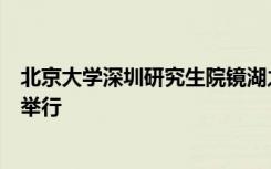 北京大学深圳研究生院镜湖之夜新年晚会在泛着波光的镜湖举行