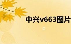 中兴v663图片（中兴v6700）