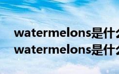 watermelons是什么意思中文翻译怎么读（watermelons是什么意思）