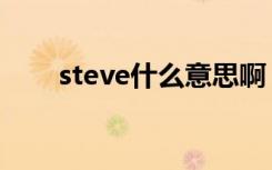 steve什么意思啊（steve什么意思）