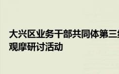 大兴区业务干部共同体第三组走进了亦庄四幼进行园本教研观摩研讨活动