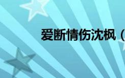 爱断情伤沈枫（爱断情伤歌词）