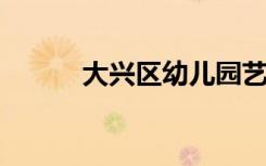 大兴区幼儿园艺术领域活动开展