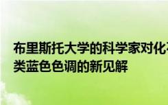 布里斯托大学的科学家对化石颜料进行了研究发现了史前鸟类蓝色色调的新见解