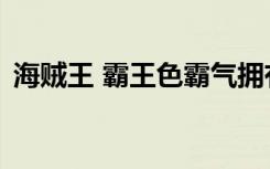 海贼王 霸王色霸气拥有者（海贼王 霸王色）