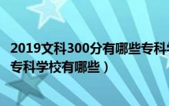 2019文科300分有哪些专科学校（2022高考文科300分公办专科学校有哪些）