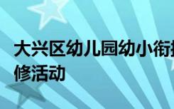 大兴区幼儿园幼小衔接项目语言领域组开展研修活动