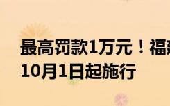 最高罚款1万元！福建明确：随意弃养犬只，10月1日起施行