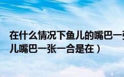 在什么情况下鱼儿的嘴巴一张一合（在没有食物的情况下鱼儿嘴巴一张一合是在）