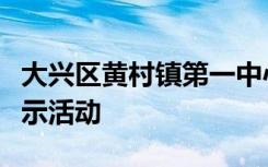 大兴区黄村镇第一中心幼儿园开展教研现场展示活动