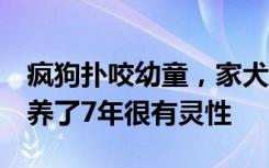 疯狗扑咬幼童，家犬冲上前将其赶跑，犬主：养了7年很有灵性