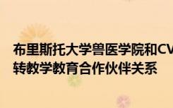 布里斯托大学兽医学院和CVS集团宣布了一种新的马临床旋转教学教育合作伙伴关系