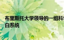 布里斯托大学领导的一组科学家开发了一种新的光合作用蛋白系统