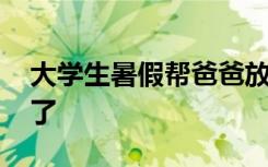 大学生暑假帮爸爸放羊 结果自己和羊都走失了