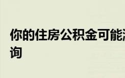 你的住房公积金可能涨了！可通过这些方式查询