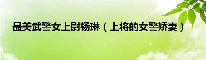 最美武警女上尉杨琳上将的女警娇妻