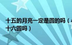 十五的月亮一定是圆的吗（小鸡宝宝考考你十五的月亮一定十六圆吗）