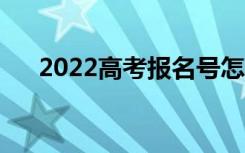 2022高考报名号怎么查（方法是什么）