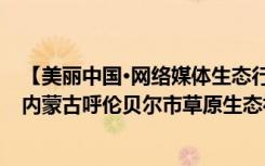 【美丽中国·网络媒体生态行】草原更丰美 牧民更富裕——内蒙古呼伦贝尔市草原生态补奖采访实录