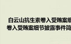  白云山抗生素卷入受贿案细节披露怎么回事 白云山抗生素卷入受贿案细节披露事件简单介绍