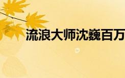 流浪大师沈巍百万收入被借无人还清