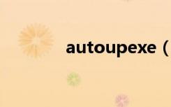 autoupexe（autoup exe）