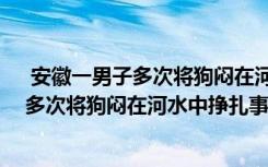  安徽一男子多次将狗闷在河水中挣扎怎么回事 安徽一男子多次将狗闷在河水中挣扎事件简单介绍