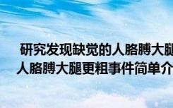  研究发现缺觉的人胳膊大腿更粗怎么回事 研究发现缺觉的人胳膊大腿更粗事件简单介绍