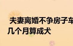  夫妻离婚不争房子车子只争柯基犬 柯基幼犬几个月算成犬