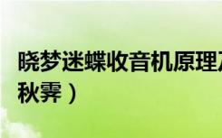 晓梦迷蝶收音机原理及维修视频（晓梦迷蝶之秋霁）