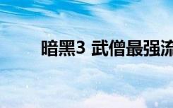 暗黑3 武僧最强流派（暗黑3 字体）