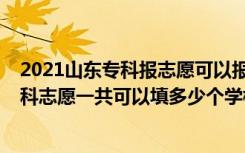 2021山东专科报志愿可以报几个学校（2022年山东高考专科志愿一共可以填多少个学校）