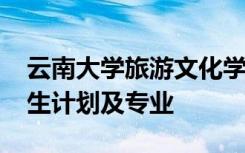 云南大学旅游文化学院2021年普通专升本招生计划及专业