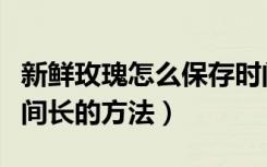 新鲜玫瑰怎么保存时间长点（玫瑰鲜花保存时间长的方法）