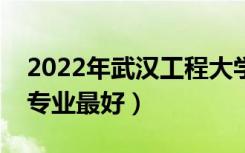 2022年武汉工程大学专业排名及介绍（哪些专业最好）