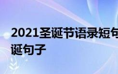 2021圣诞节语录短句简短 适合发朋友圈的圣诞句子