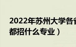 2022年苏州大学各省招生计划及招生人数（都招什么专业）